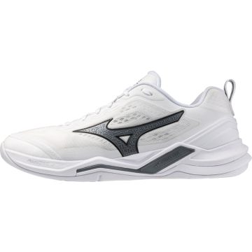 MIZUNO SPORT WAVE STEALTH ELITE Handball & Unihockey - Herren